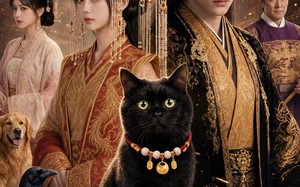 我捡的黑猫竟是当朝帝王（63集）短剧夸克网盘在线看完整版