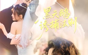 黑天鹅诱捕法册（80集）短剧夸克网盘高清全集在线看