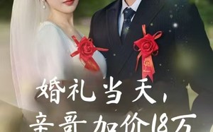 婚礼当天，亲哥加价18万（36集）短剧夸克网盘全集高清流畅观看