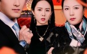 远嫁难归家（32集）短剧夸克网盘完整版免费观看