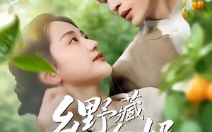 乡野藏金婿（50集）短剧夸克网盘免费高清看全集