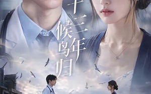 十三年，候鸟归（40集）短剧夸克网盘在线观看无删减