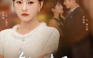 真夫人清场从不手软（81集）短剧夸克网盘全集免费在线看