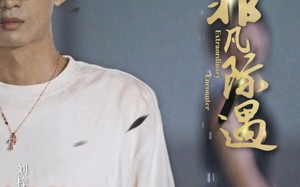 菲凡际遇（100集）短剧夸克网盘免费高清随心看