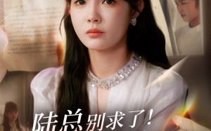 陆总别求了夫人已经再婚有娃了（55集）短剧夸克网盘超清画质畅快看