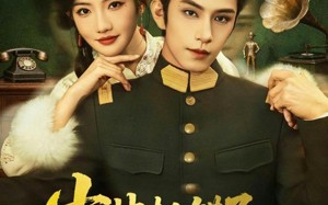 少帅抓错了，夫人不偷情报只偷心（66集）短剧夸克网盘高清全集免费观赏