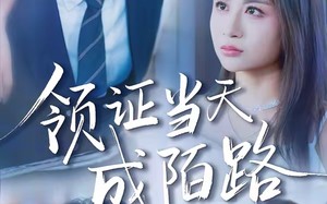 领证当天成陌路（39集）短剧夸克网盘全集畅享观看