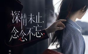 深情未止，念念不忘（83集）短剧夸克网盘高清在线看个够
