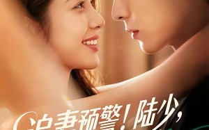追妻预警！陆少，你的闪婚妻子又跑路了（102集）短剧夸克网盘高清畅享全集