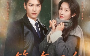 第七年回响（81集）短剧夸克网盘优质画质免费看