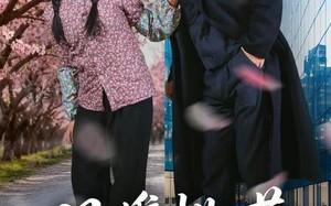 风携桃花入君心（80集）短剧夸克网盘超清画质随心看