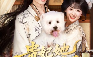 贵妃她不想卷了（60集）短剧夸克网盘极速加载流畅播放