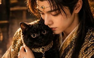 重生成猫我成了皇帝的金牌顾问（81集）短剧夸克网盘完整版免费观看