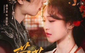 菀菀错逢春（62集）短剧夸克网盘全集畅快观看