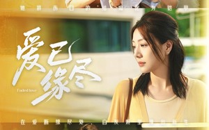 爱已缘尽（62集）短剧夸克网盘高清视频在线看
