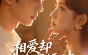 相爱却在离婚时（61集）短剧夸克网盘全集在线赏