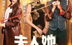 夫人她专治不服4（64集）短剧夸克网盘完整版免费在线看