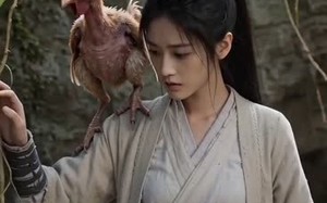 仙帝落难被我捡回家（59集）短剧夸克网盘全集免费观看