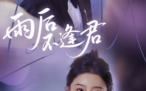 雨后不逢君（40集）短剧夸克网盘独家未删减版在线看