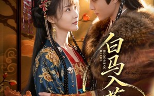 白马入芦花（59集）短剧夸克网盘高清全集畅快观