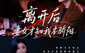 离开后妻女才知我本骄阳（112集）短剧夸克网盘无广告流畅播放