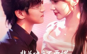 裴总破产不要慌，炮灰前妻带你飞（66集）短剧夸克网盘在线看全集过瘾