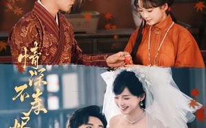 情深不寿烬相思（60集）短剧夸克网盘每日更新追剧无忧