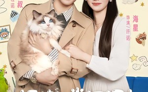 拒绝人类证词直播毛茸茸破案上热搜（80集）短剧夸克网盘免费看全集