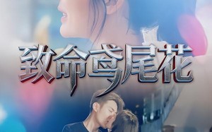致命鸢尾花（60集）短剧夸克网盘免费看全集不卡顿