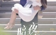 暗夜情事（100集）短剧夸克网盘超清画质畅快看