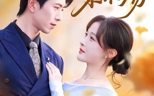 浮生烬禾木殇（70集）短剧夸克网盘全集在线免费观