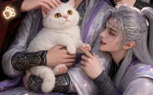 团宠小喵喵（38集）短剧夸克网盘全集免费随心看