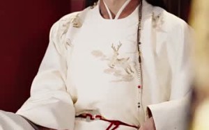 谢他曾误芳华（57集）短剧夸克网盘独家资源抢先看