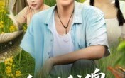 全村笑我傻我靠养鱼发家致富（60集）短剧夸克网盘全集免费看个够