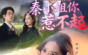 秦小姐你惹不起（80集）短剧夸克网盘精彩全集免费观