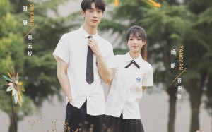 栀子花落状元红（50集）短剧夸克网盘高清流畅在线观看
