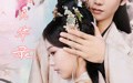红颜风华录（85集）短剧夸克网盘无广告纯净版观看