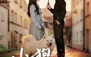 小狗不会冬眠（70集）短剧夸克网盘全集免费看不停