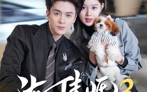 渐入佳婚3第三部（60集）短剧夸克网盘高清流畅在线观