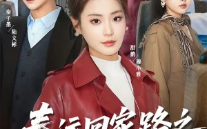 春运回家路之绝地反杀（59集）短剧夸克网盘免费看无广告全集