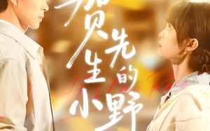 贺先生的小野玫瑰（99集）短剧夸克网盘全集免费高清看