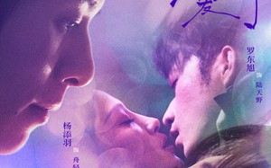 赘入爱河（71集）短剧夸克网盘全集免费随心看