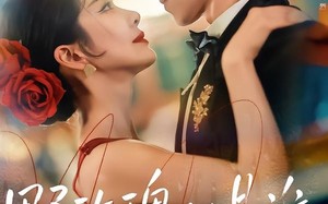 野玫瑰她是谁（84集）短剧夸克网盘免费看完整剧情