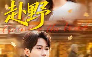 赴野（40集）短剧夸克网盘在线看超清全集