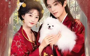 嘘暴君是我掌上犬短剧夸克网盘无广告纯净看