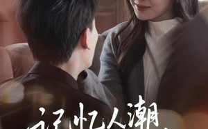 记忆人潮再无你（80集）短剧夸克网盘无广告观看体验