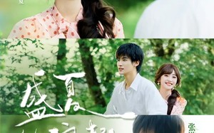 盛夏灼浪起（68集）短剧夸克网盘免费看全集不卡顿