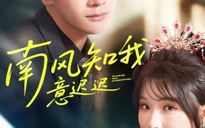 南风知我意迟迟（79集）短剧夸克网盘全集高清在线赏