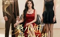 桑小姐她不好惹（103集）短剧夸克网盘高清完整免费看
