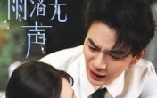 那年雨落无声（55集）短剧夸克网盘完整版在线畅看
